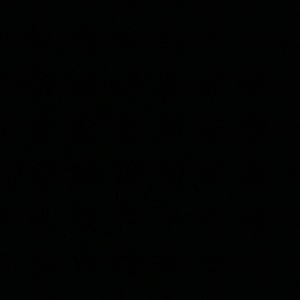 Meet your Posher, Tess